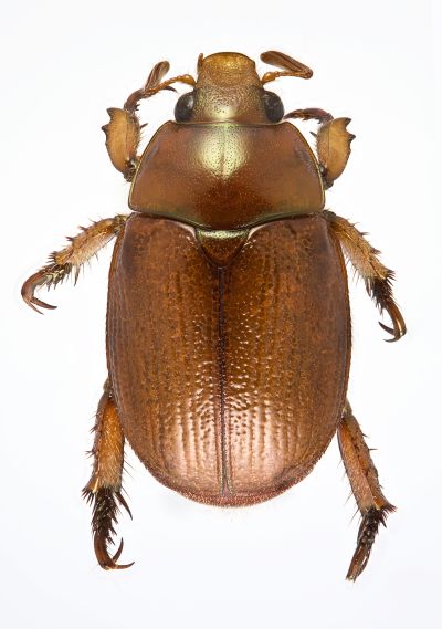 New Age Technology – Digital Imaging