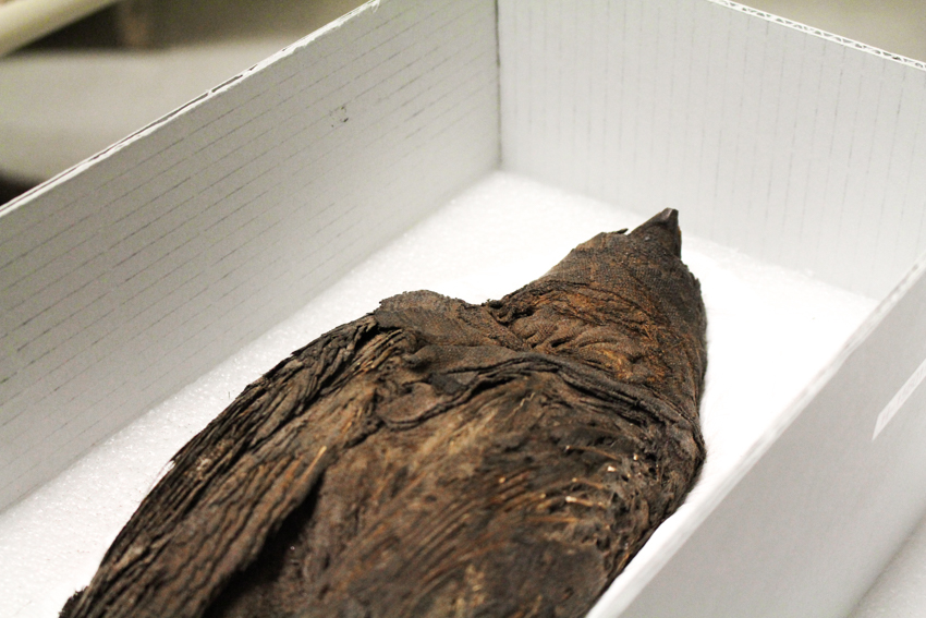 AnthLab_NAW2016 (13 of 14)