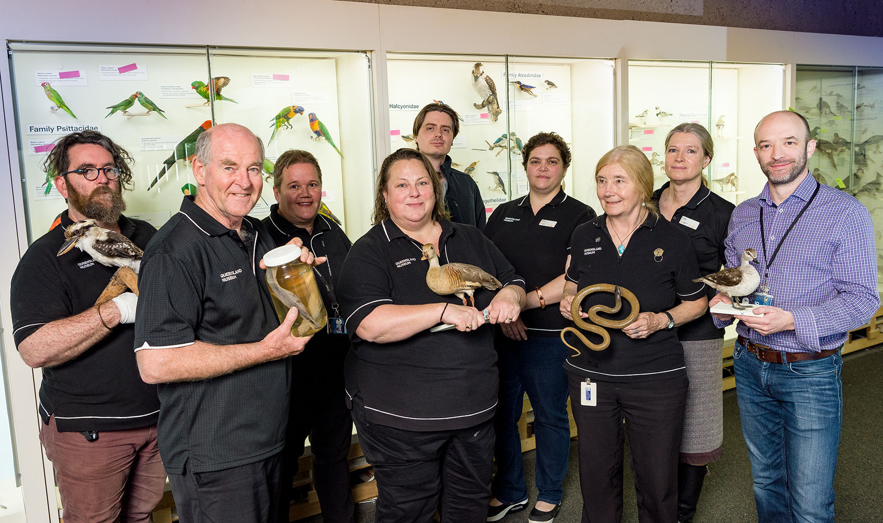 Discover at Queensland Museum