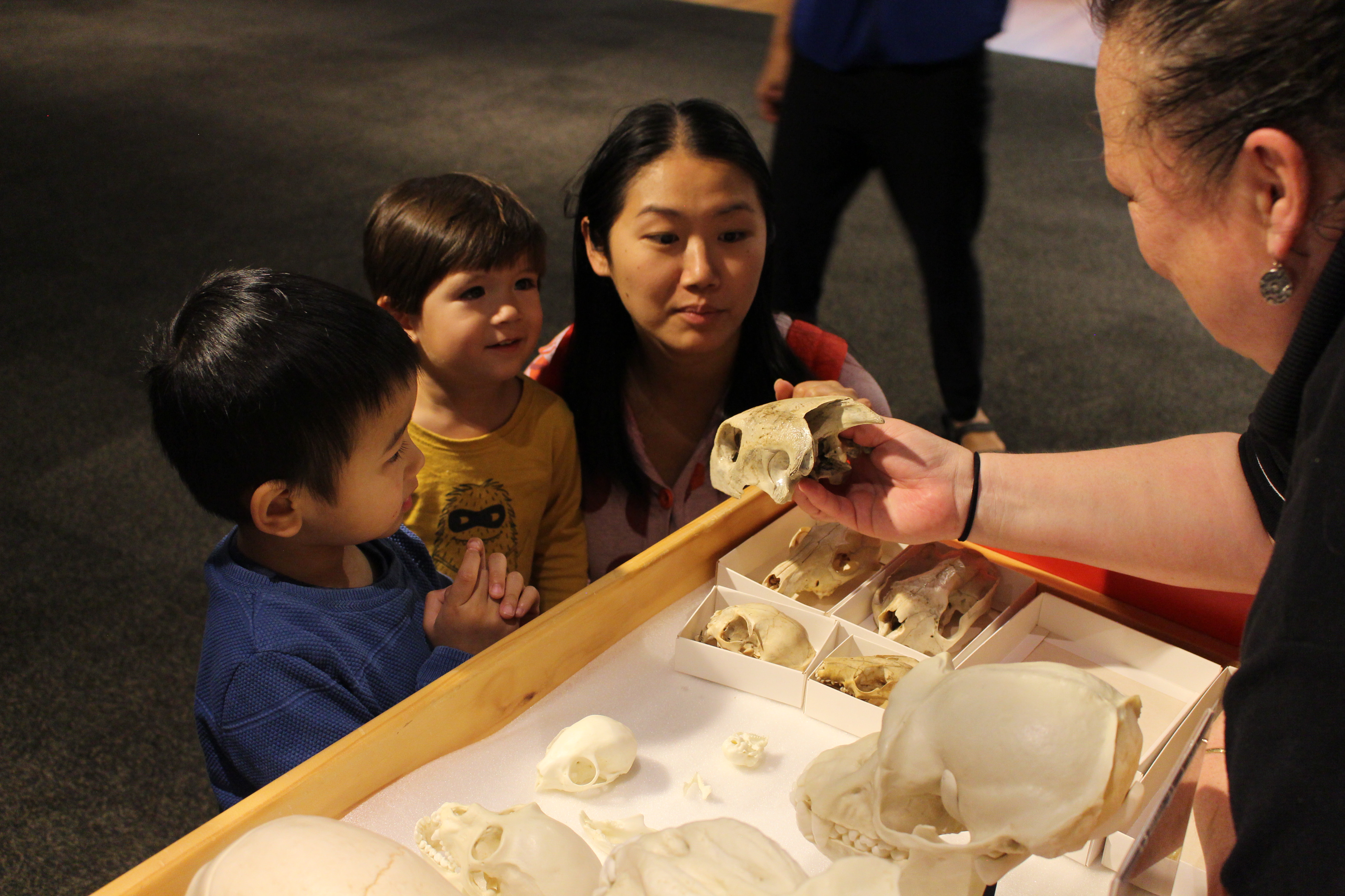 Daily discoveries are coming to you