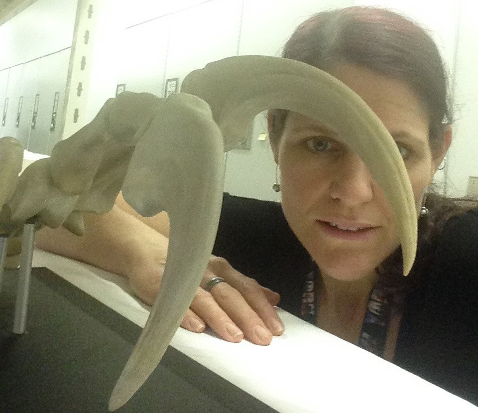 International Day of Women and Girls in Science - Kristen Spring 1