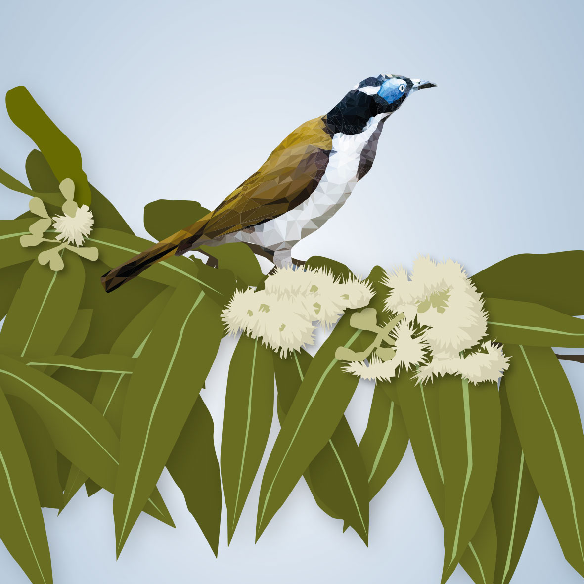 WILD-STATE-Owen-Forest