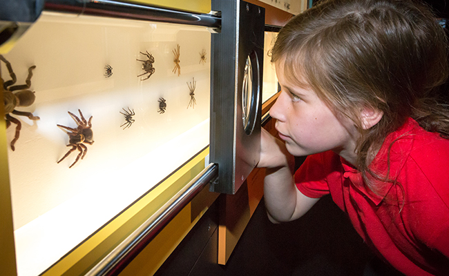 9 Things To Do These School Holidays | Summer 2019
