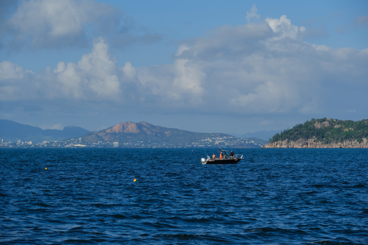A step in the right direction for Magnetic Island’s giant clams
