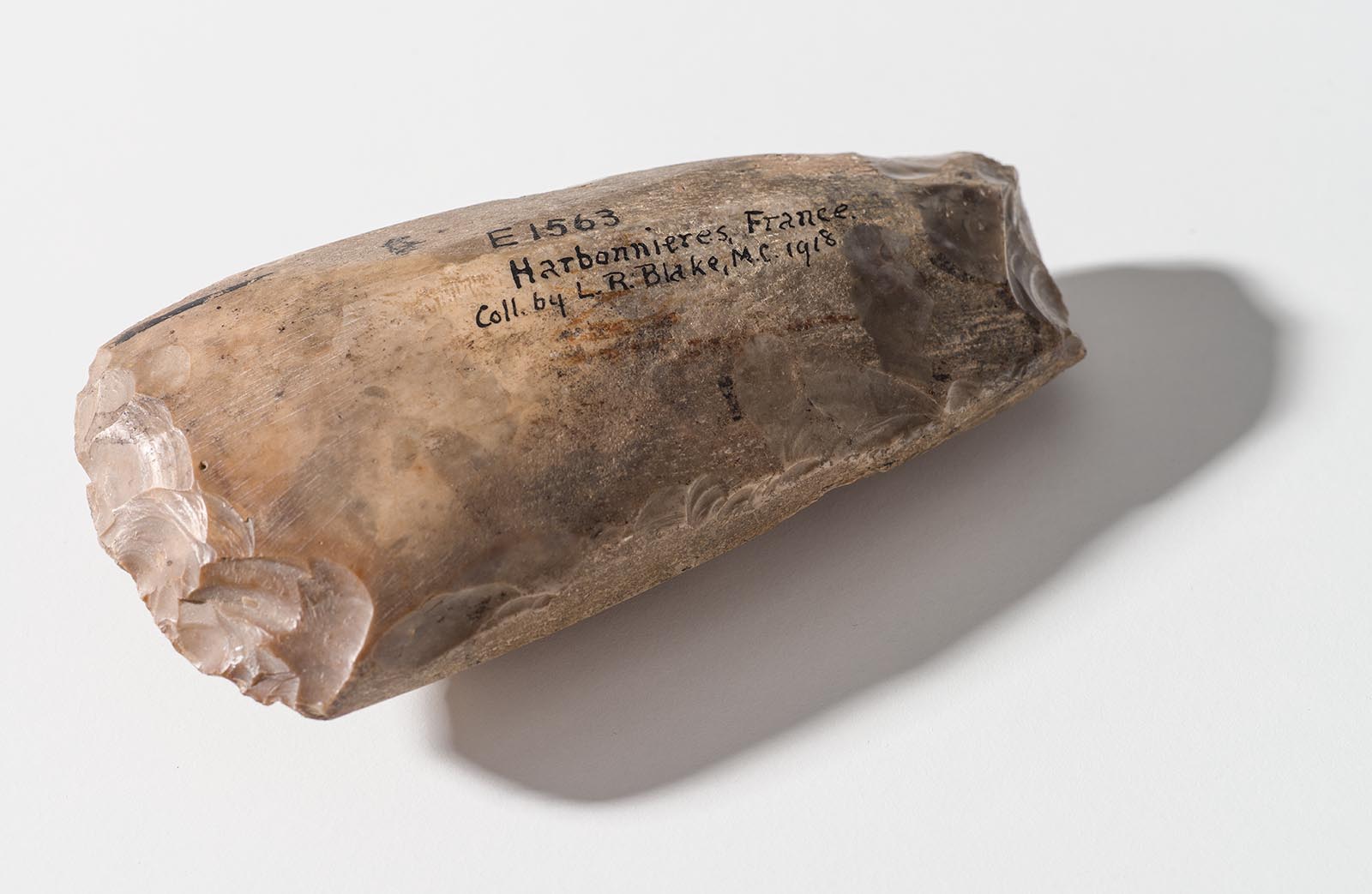 Digging in the archaeology collection