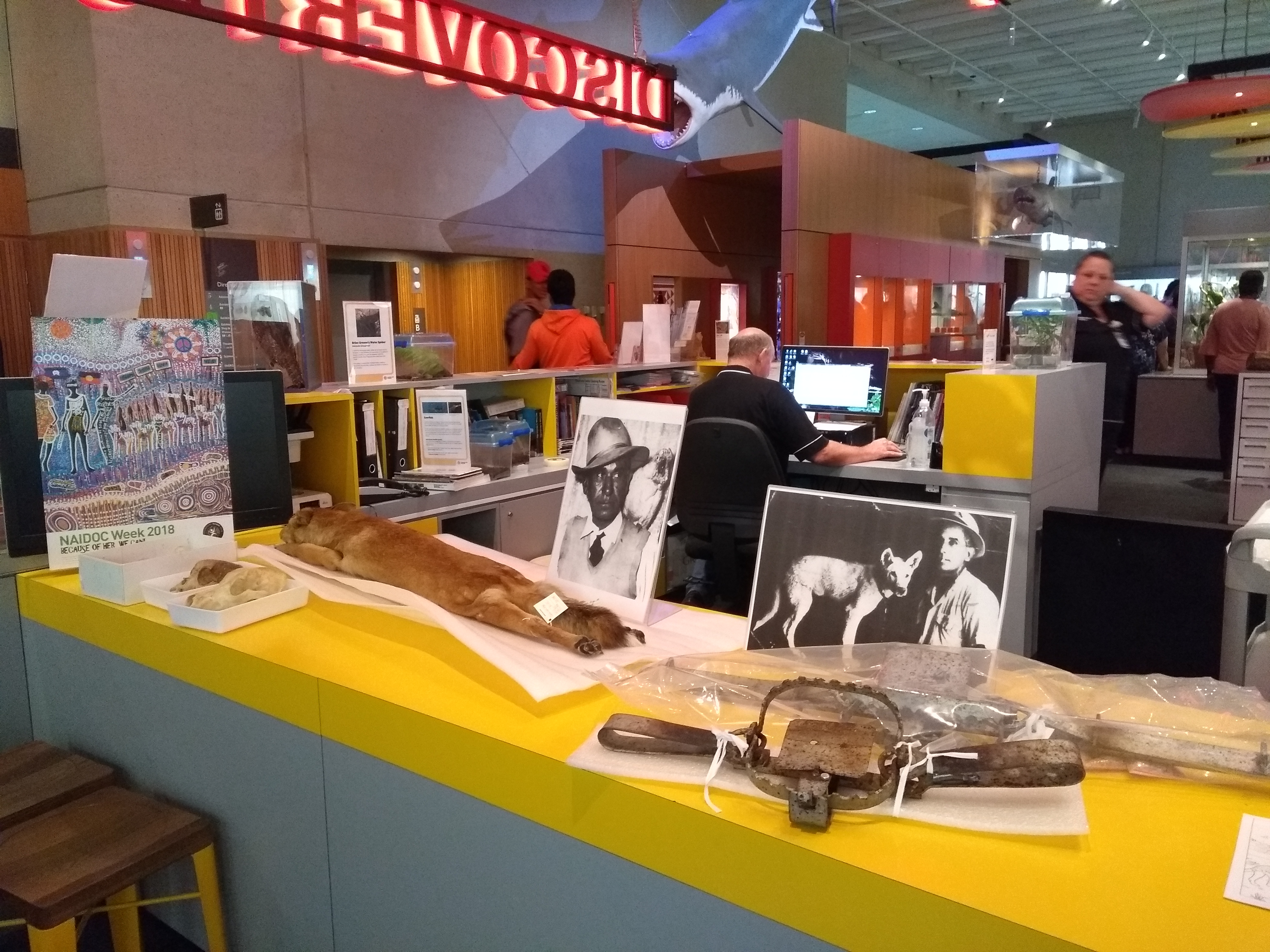 IMG_20180712_125217698