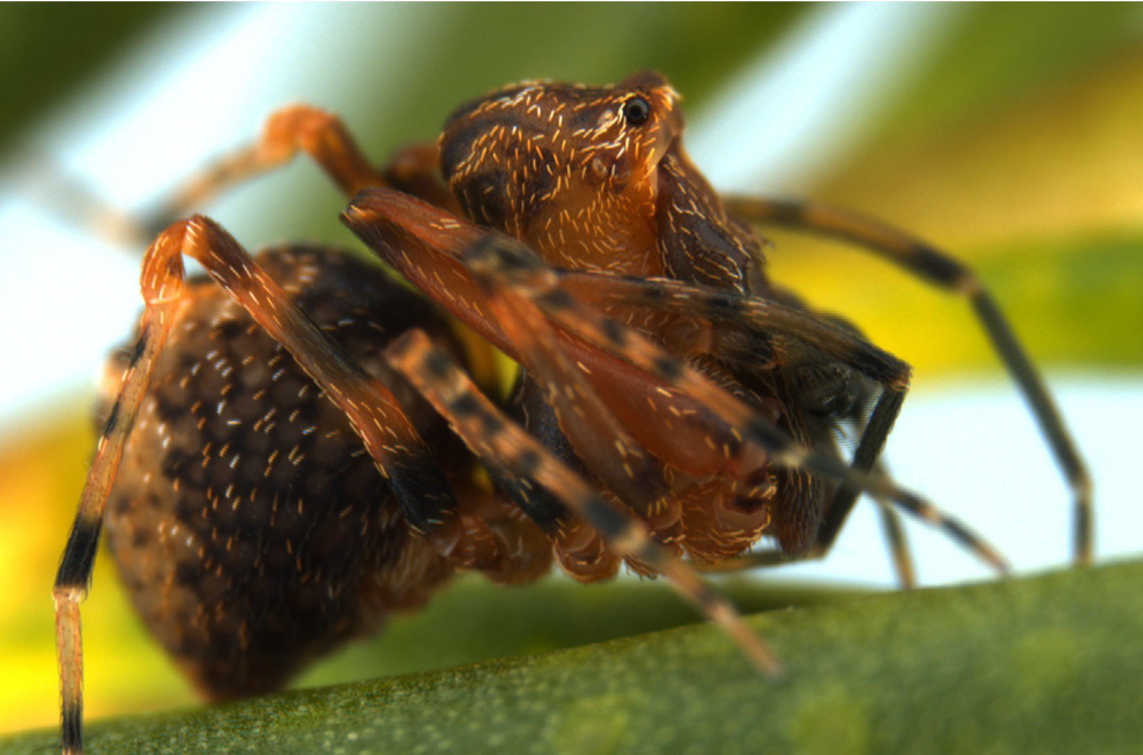 Let’s not forget the “little things”