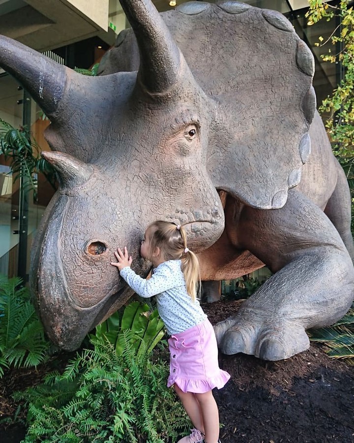 67695152_184254235932821_2809027726834177630_n