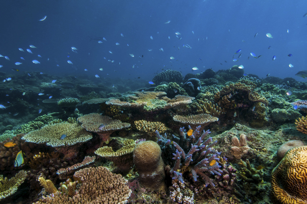 Queensland’s biodiversity