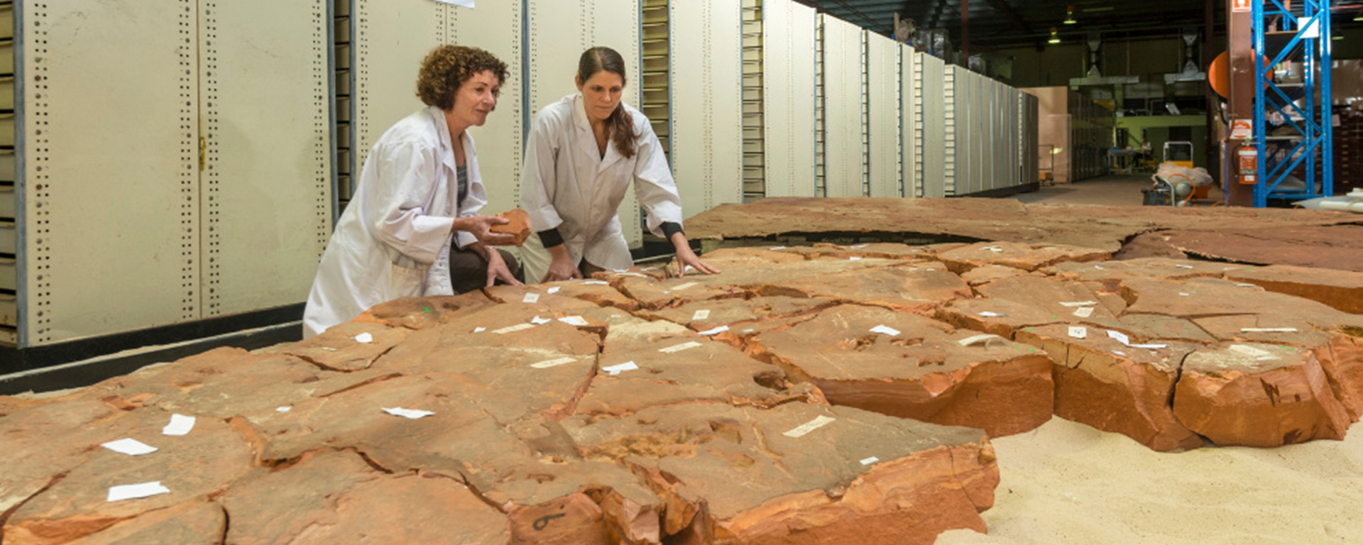 5 minutes with Kristen Spring, Collection Manager, Geosciences