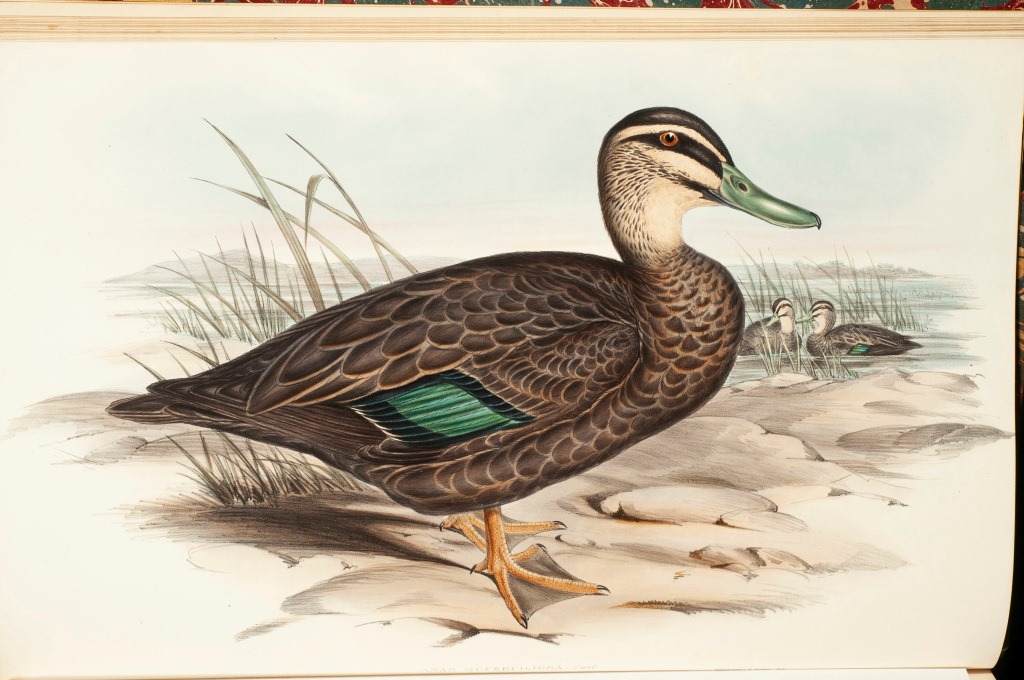 93962842_3175032595860848_7818009766386466816_o