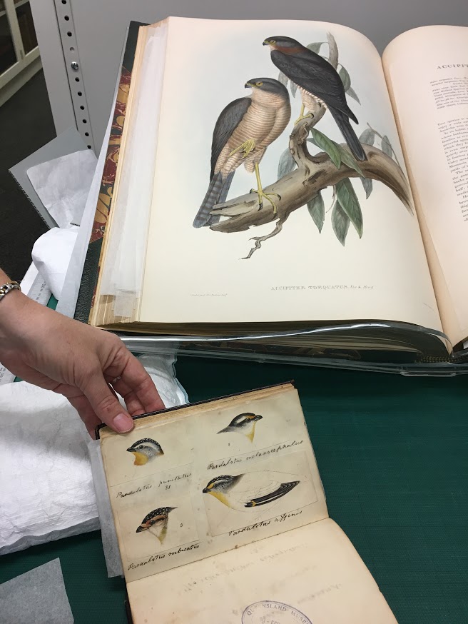 94310052_3175032372527537_2624553638688718848_n