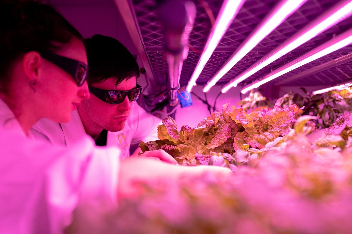 6 Ways to celebrate National Science Week