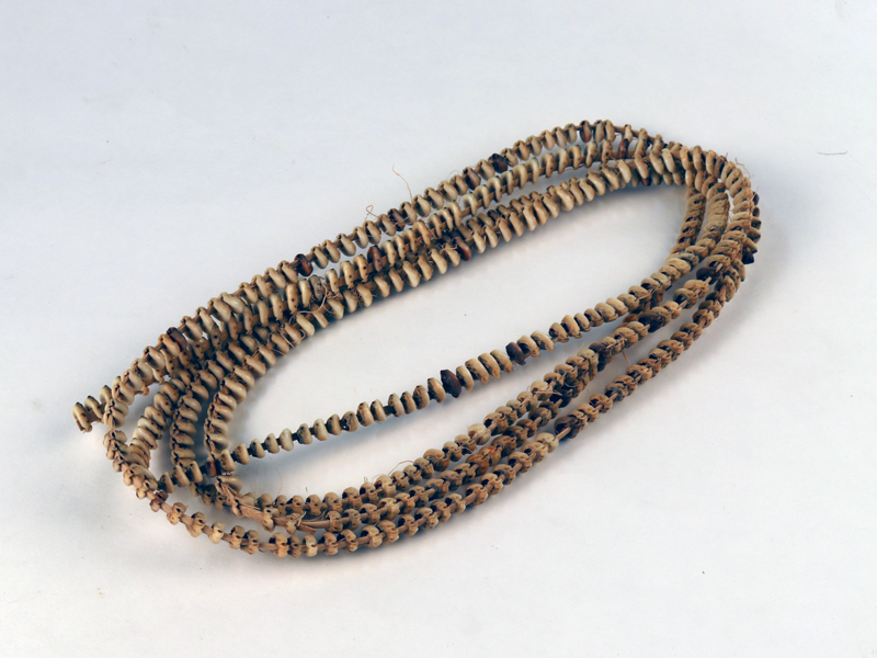 Still more important than anything money can buy – Queensland Museum Blog