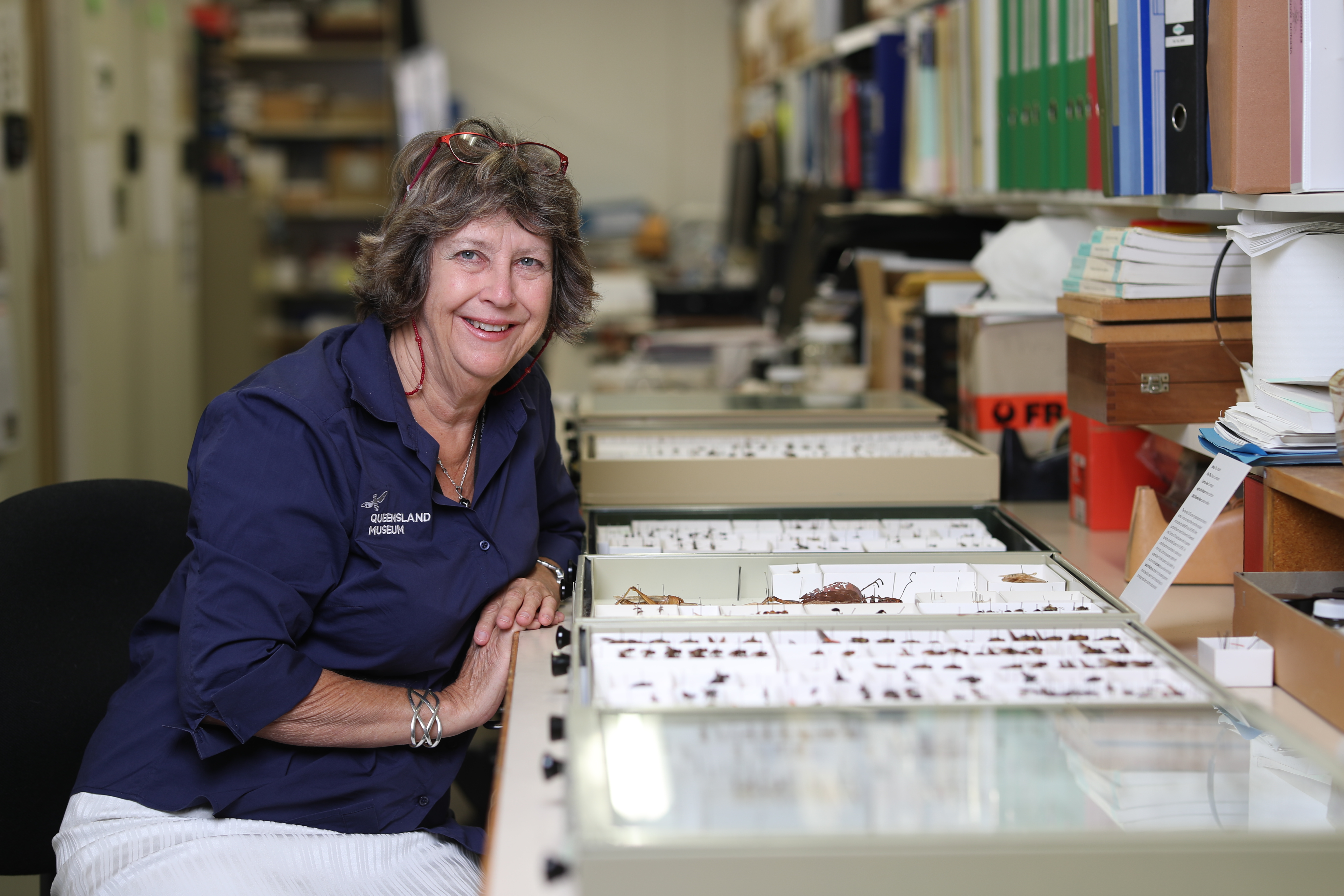 5 minutes with Dr Christine Lambkin, Curator of Entomology
