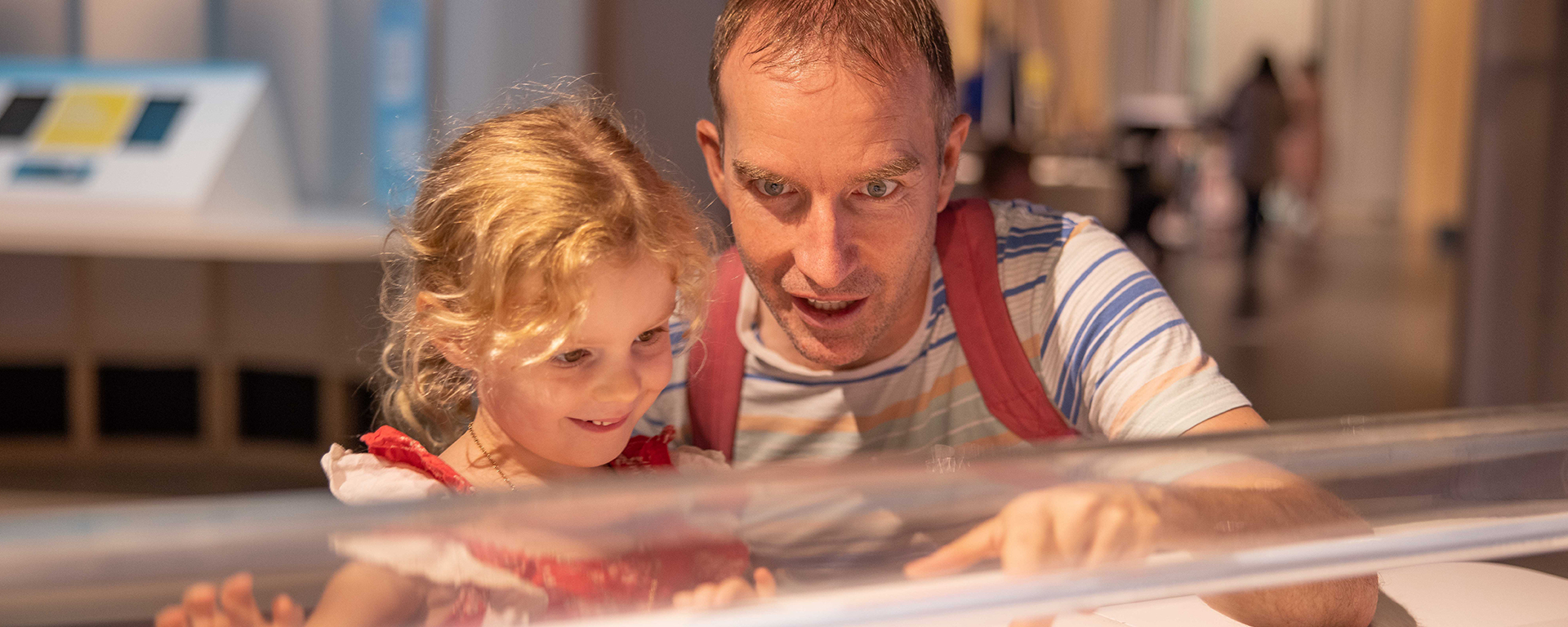 Research and programs to support Little Learners across the Queensland Museum Network