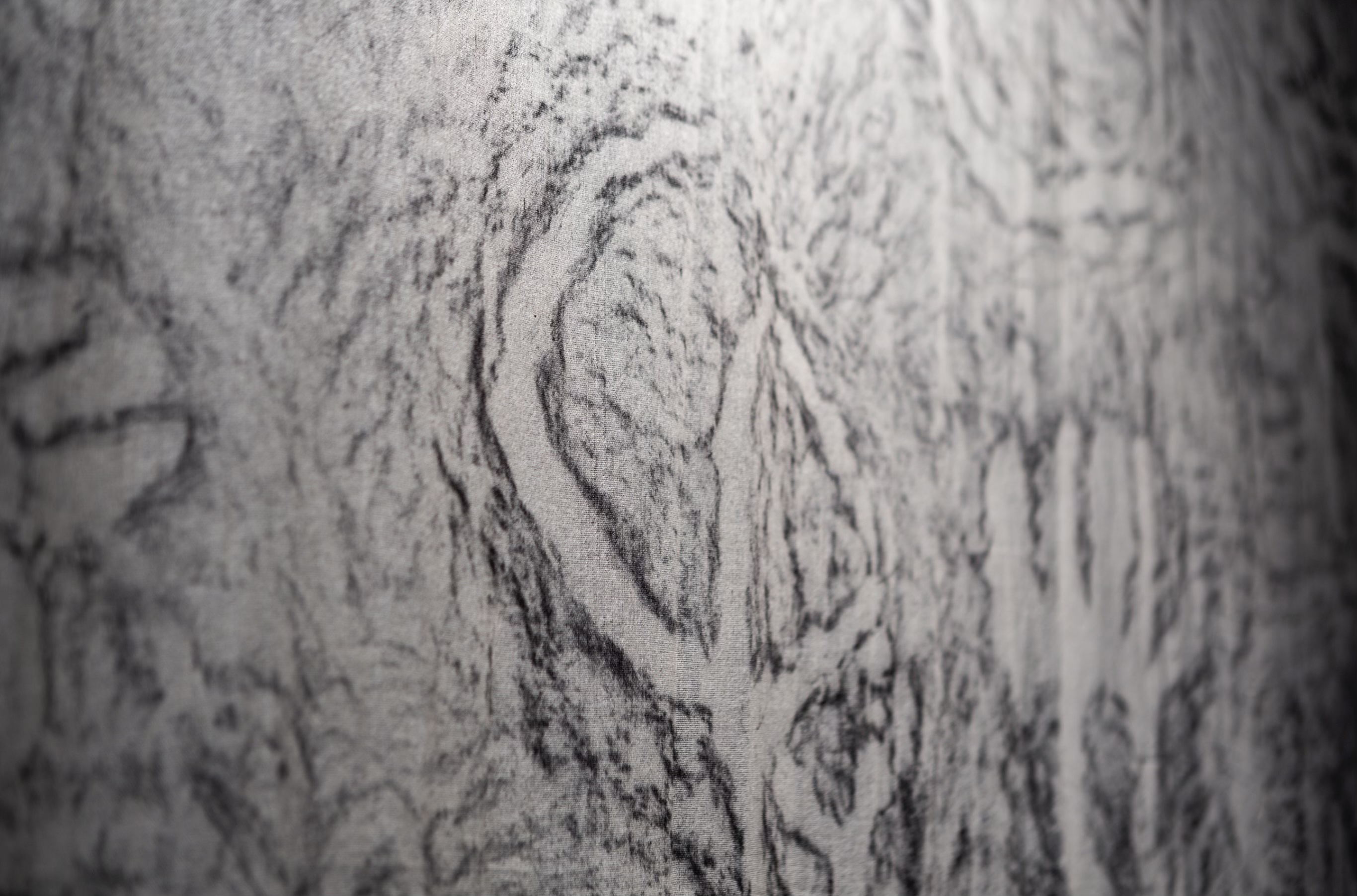 Uncovering the Burnett River Rocks: A Journey of Cultural Revival