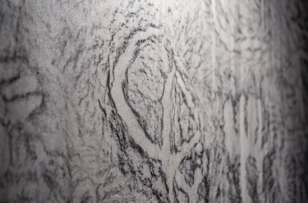 Uncovering the Burnett River Rocks: A Journey of Cultural&nbsp;Revival