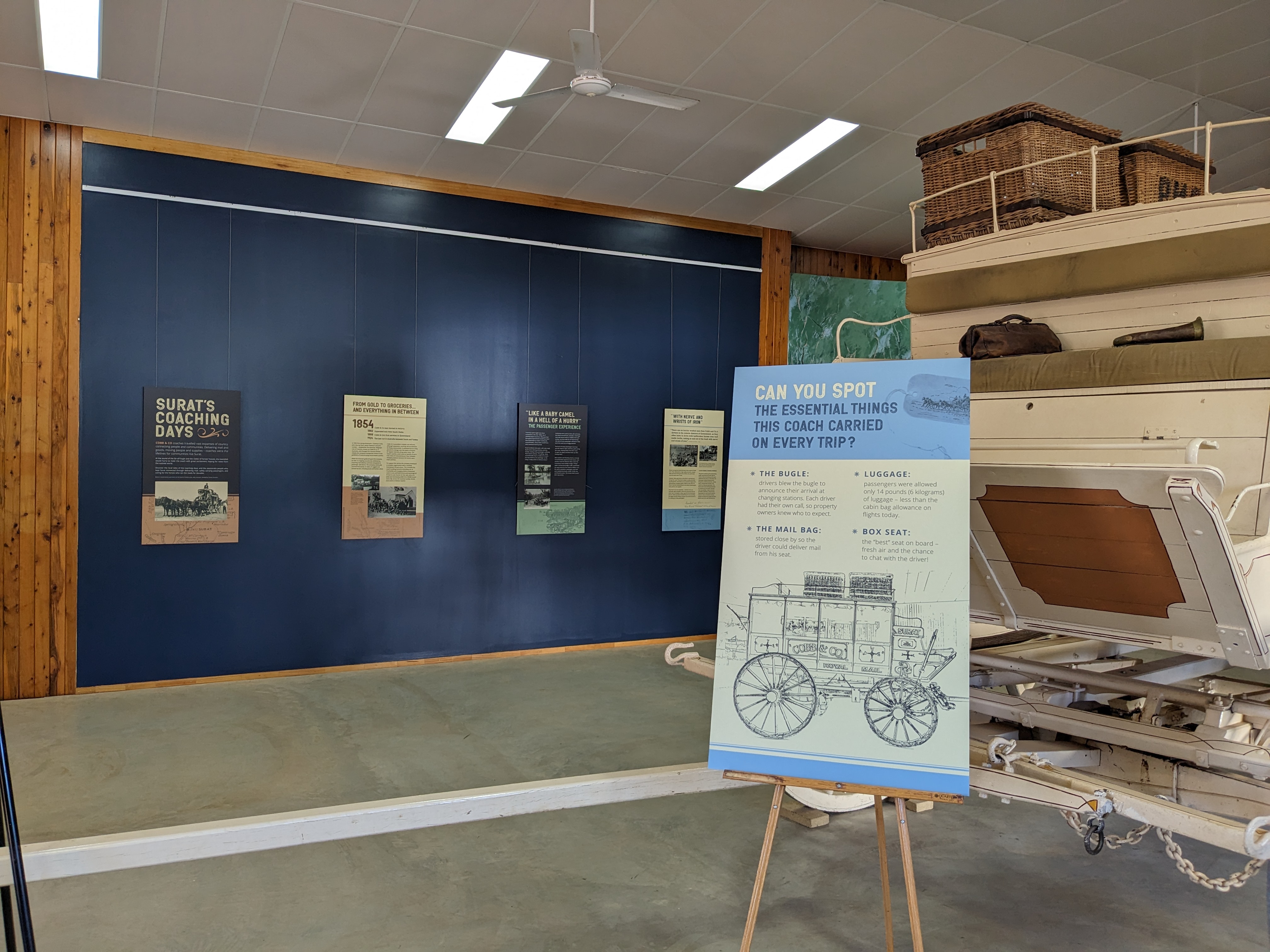 “A baby camel in a hell of a hurry”: new displays in Surat