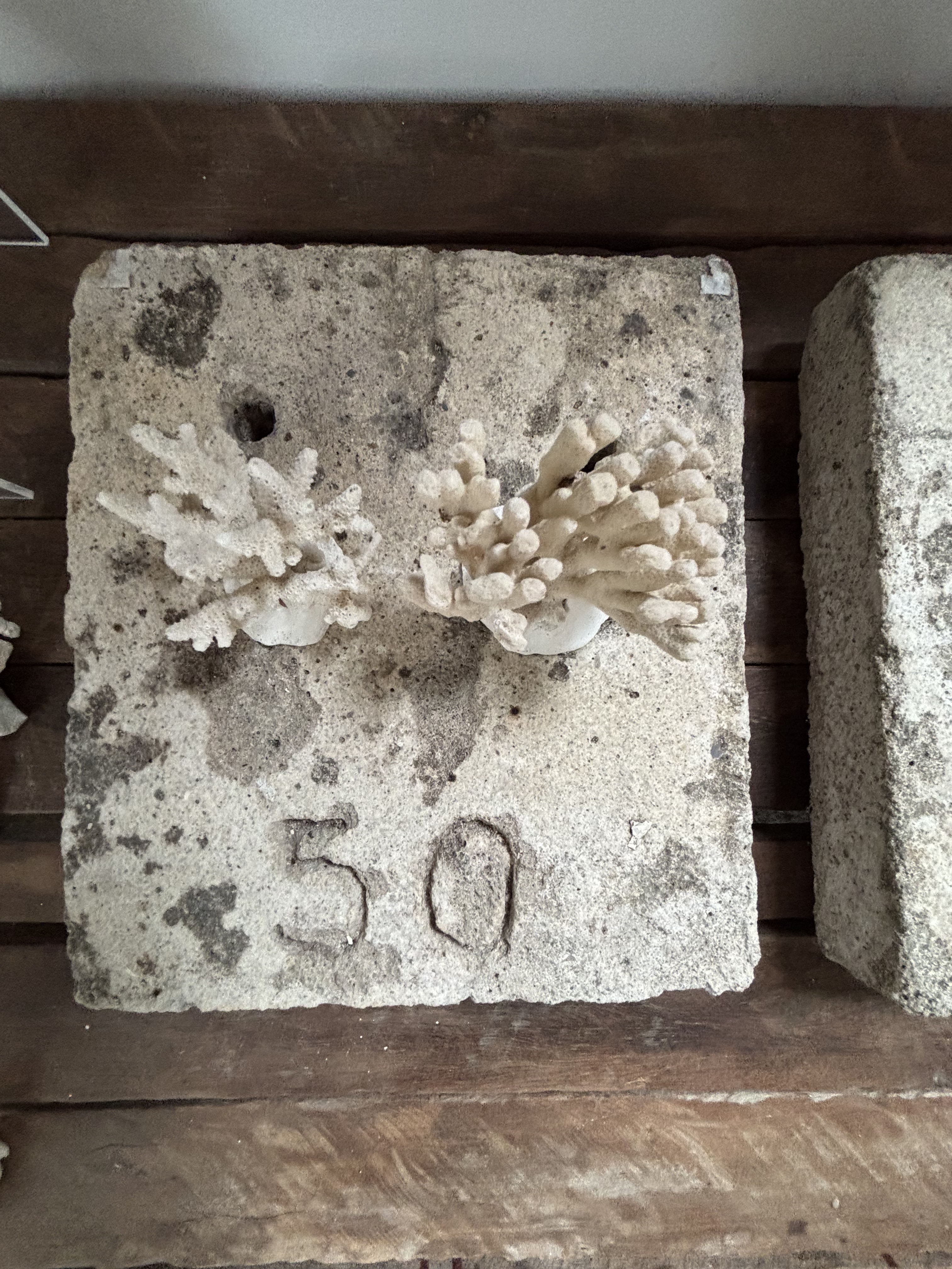 Shining a light on the coral frontier: Low Isles Museum