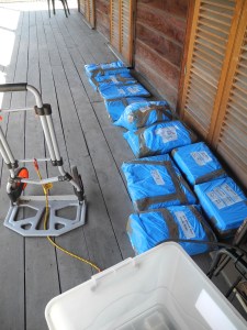 objects bagged for freezing